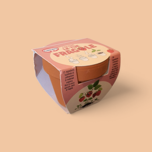Vasetto in terracotta con semini di fragola da piantare