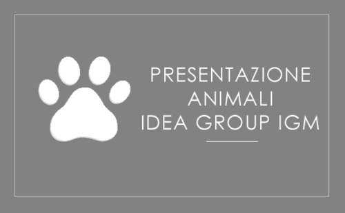 Idea Group IGM - Presentazione Animali
