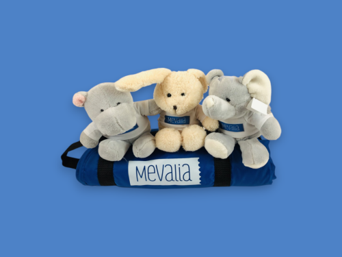 Set pupazzi e astuccio